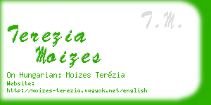 terezia moizes business card
